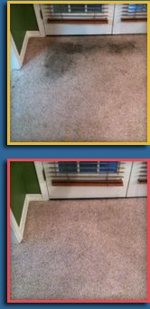 Carpet Cleaning Before And After